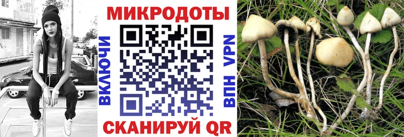 Галлюциногенные грибы ЛСД  Бийск 